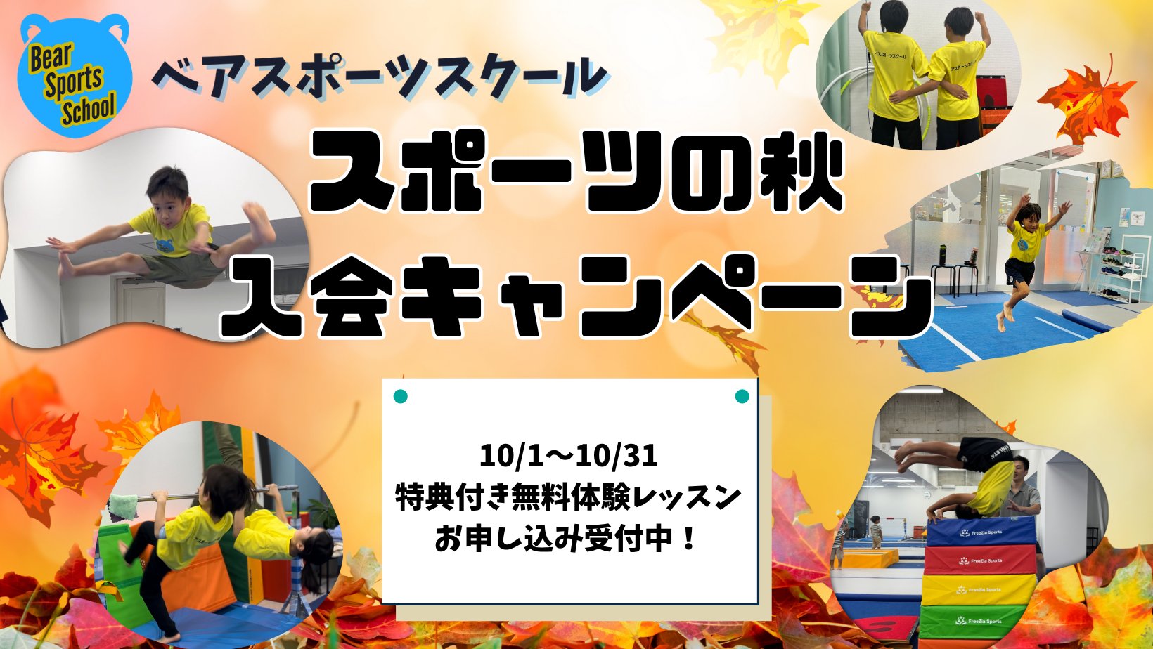 ダウンロード